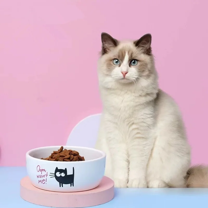 Royal Canin Food Medium - Moda karikatür küçük siyah kedi evcil