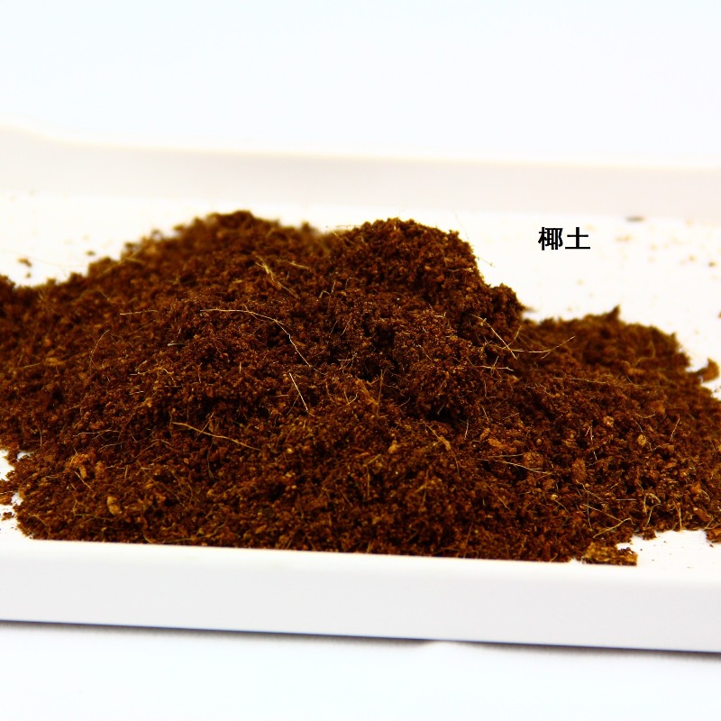 Hindistan Cevizi Toprağı Tuğla - Substrate Coconut Fiber incelemesi ve fiyatı
