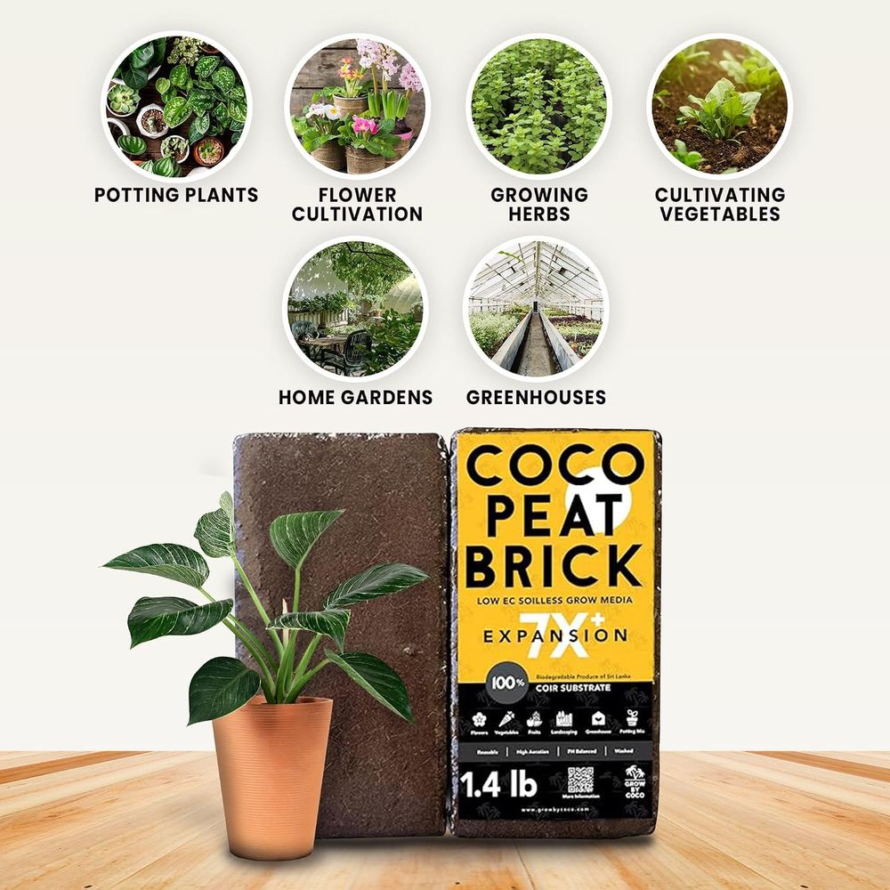 650g Tuğla - Premium Organik C - Substrate Coconut Fiber incelemesi ve fiyatı