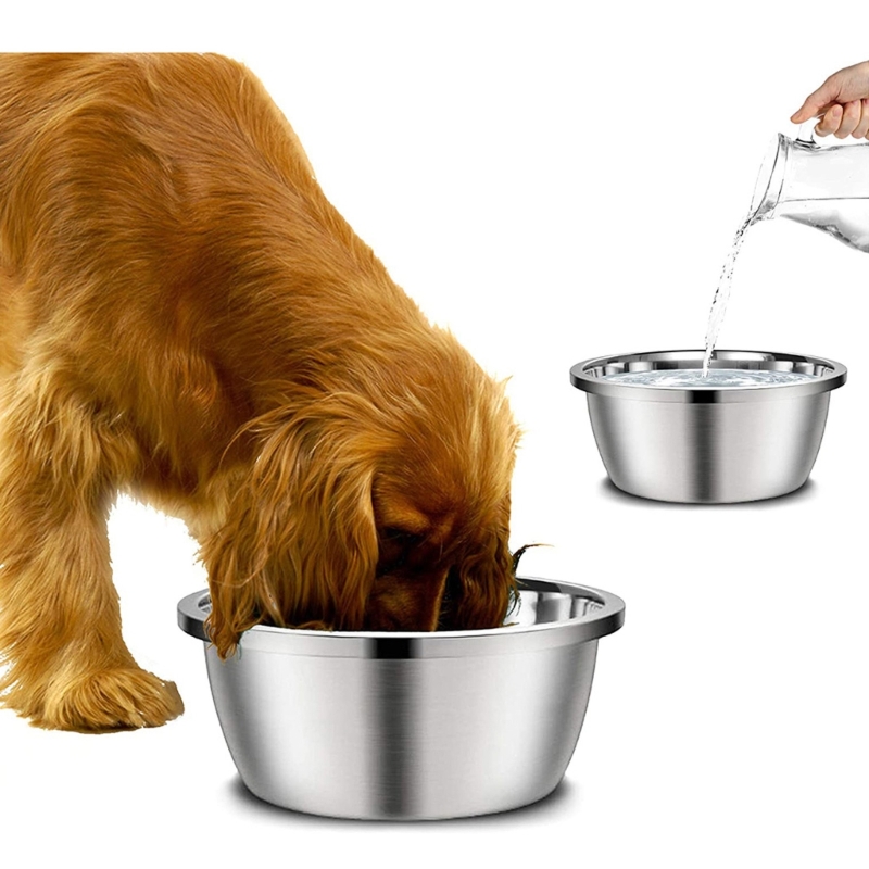 Paslanmaz Çelik Köpek Besleyic - Royal Canin Food Medium incelemesi ve fiyatı